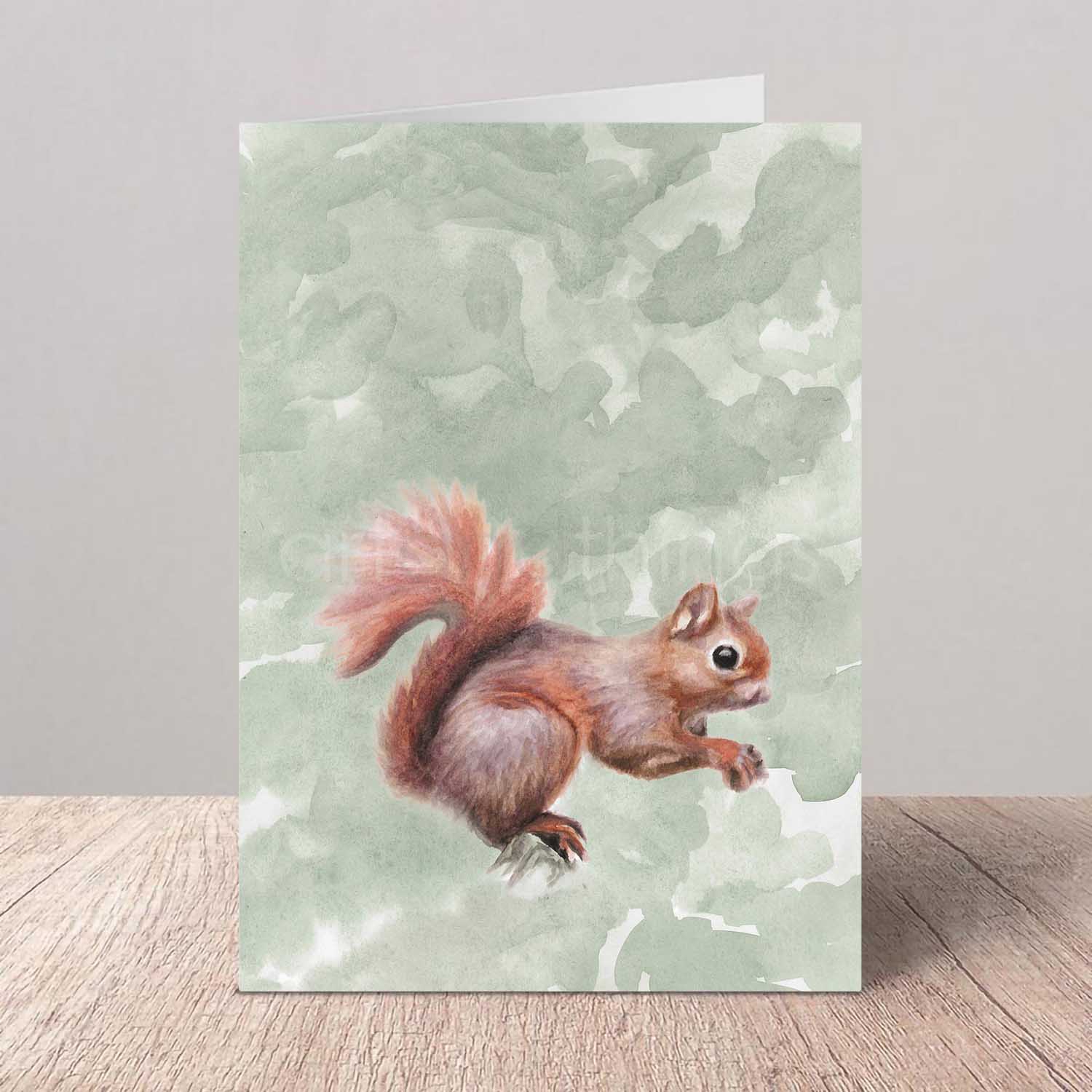 Squirrel Birthday Greeting Card